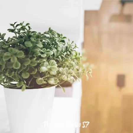 The Loft 57 - Vut.3352as *